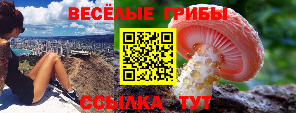 Галлюциногенные грибы мухоморы Сегежа