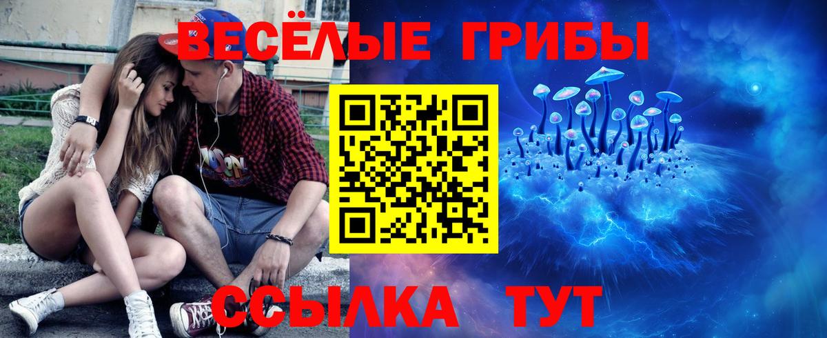 Сегежа  Псилоцибиновые грибы MAGIC MUSHROOMS  Вход с VPN  Галлюциногенные грибы GOLDEN TEACHER 